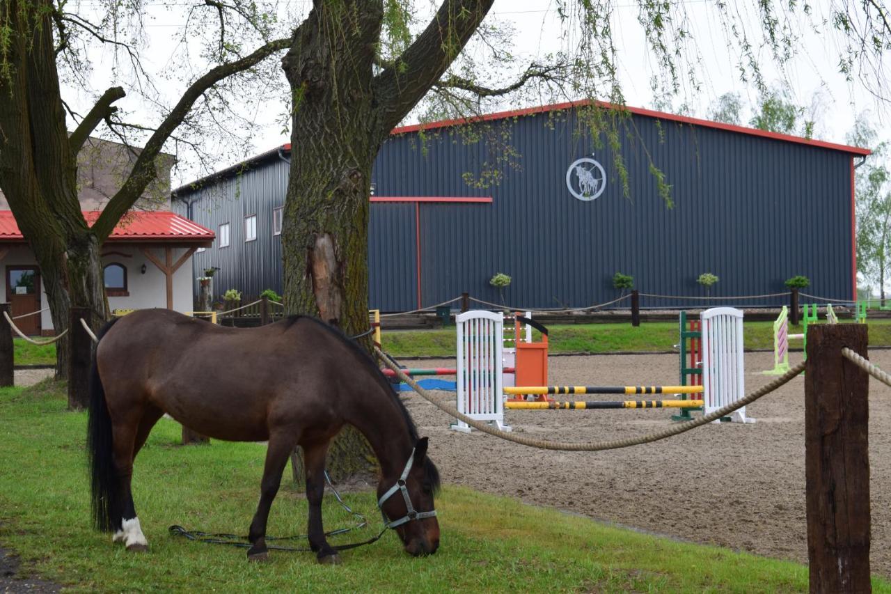 2 W Rancho * Znin